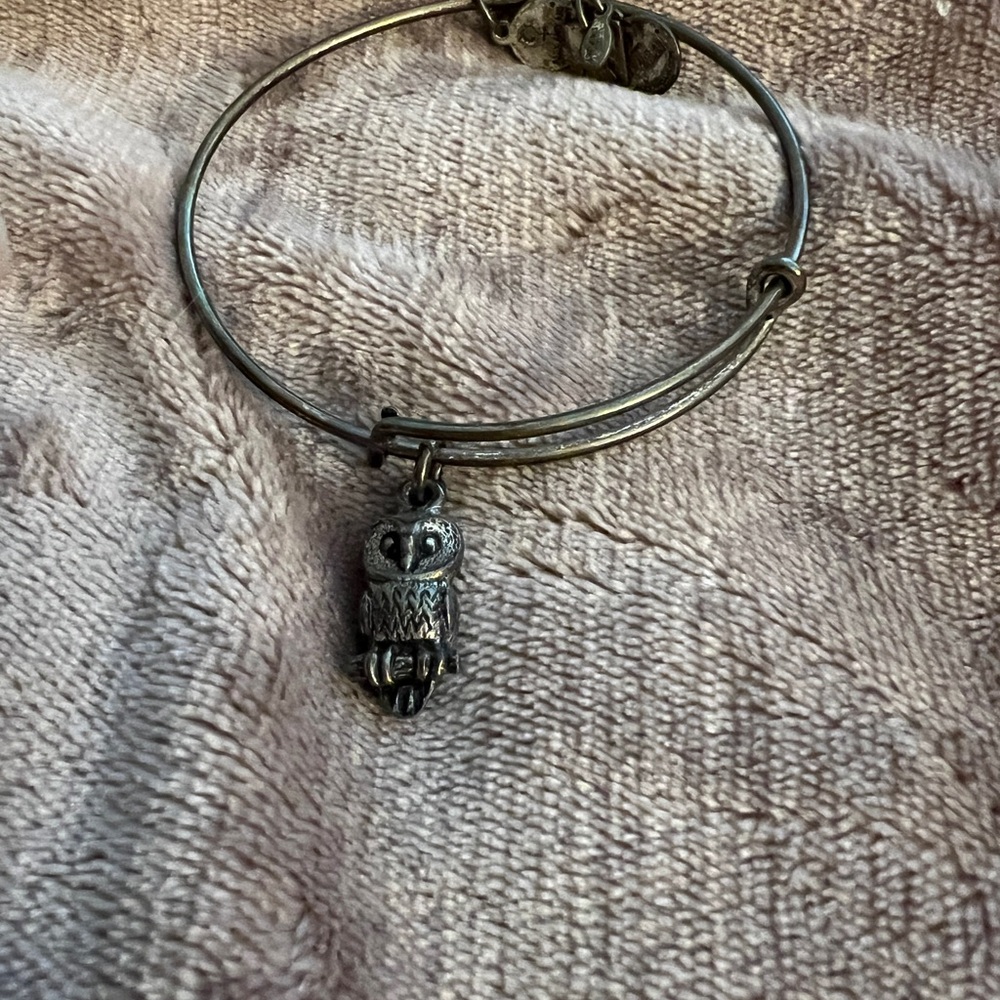 Alex and Ani Silver Owl Charm Bracelet